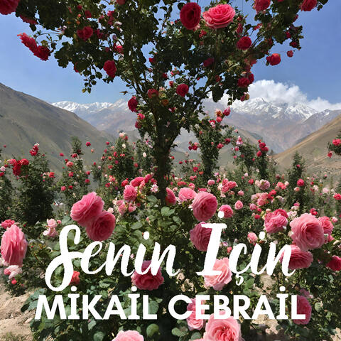 Senin İçin