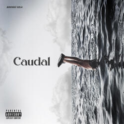 Caudal