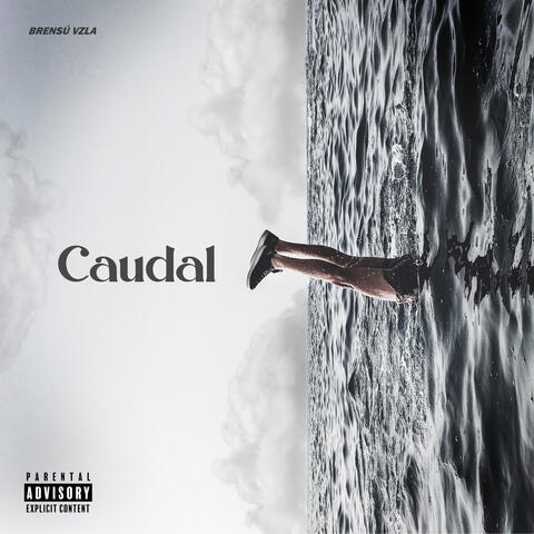 Caudal