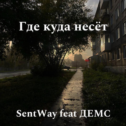 Где куда несёт