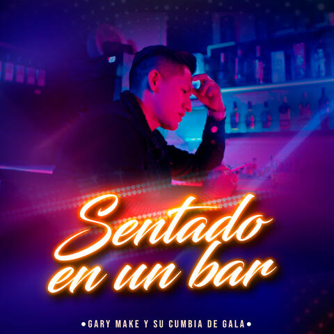 Sentado en un Bar