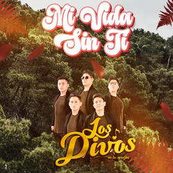 Mi Vida Sin Ti