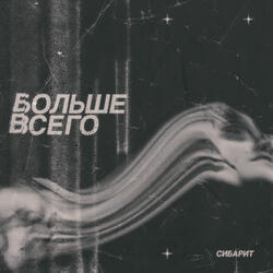 Больше всего