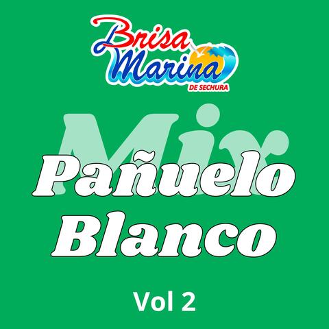 Niégalo Todo / Pañuelo Blanco / Homenaje / Olvídame, Vol. 2
