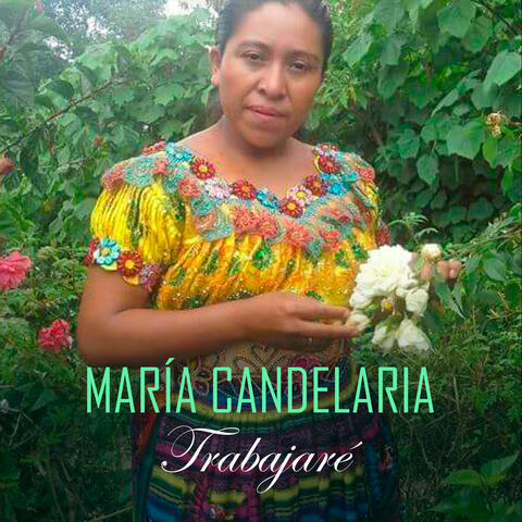 Trabajaré