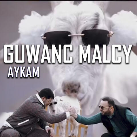 Aykam
