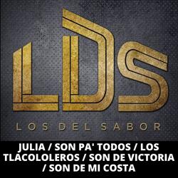 Julia / Son Pa' Todos / Los Tlacololeros / Son de Victoria / Son de Mi Costa