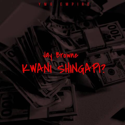 Kwani Shingapi?