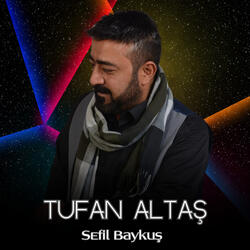 Sefil Baykuş
