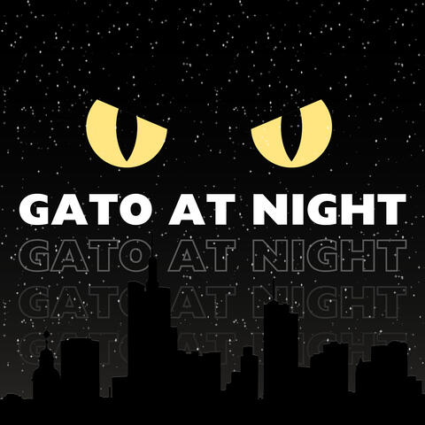 Gato At Night