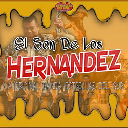 El Son de los Hernández