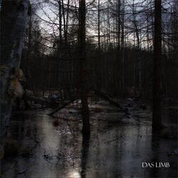 The Observer in the Window