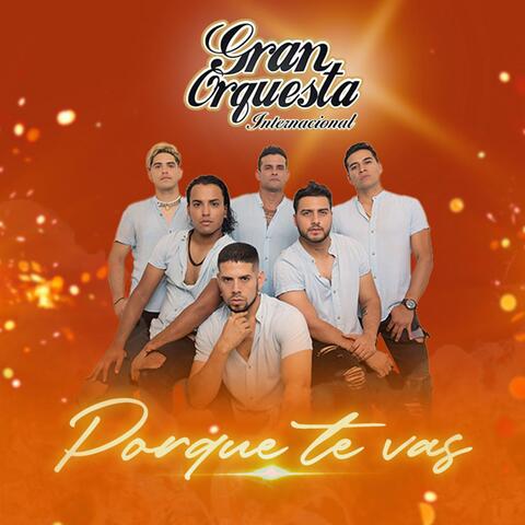 Porque Te Vas