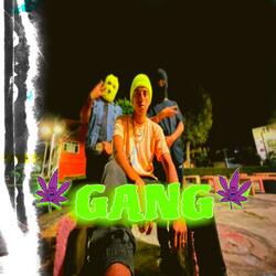 Gang
