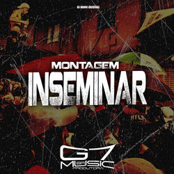 Montagem Inseminar