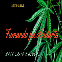 Fumando Pa Olvidarte ( Singinglive )