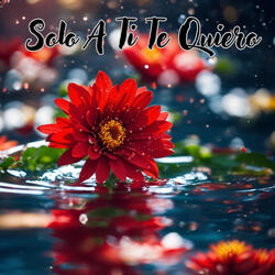 Solo a Ti Te Quiero