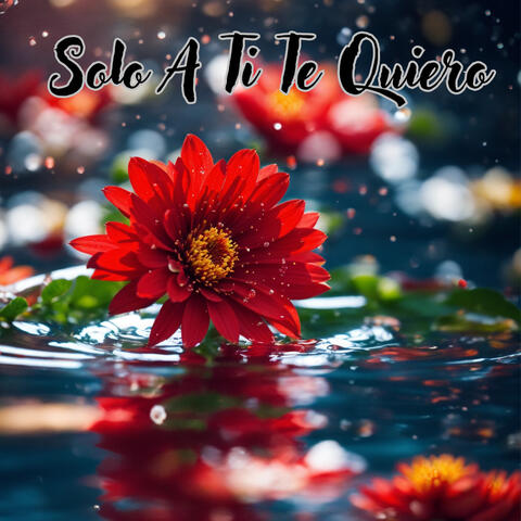 Solo a Ti Te Quiero