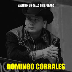 Domingo Corrales
