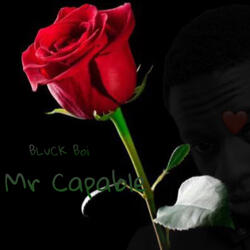 Mr Capable