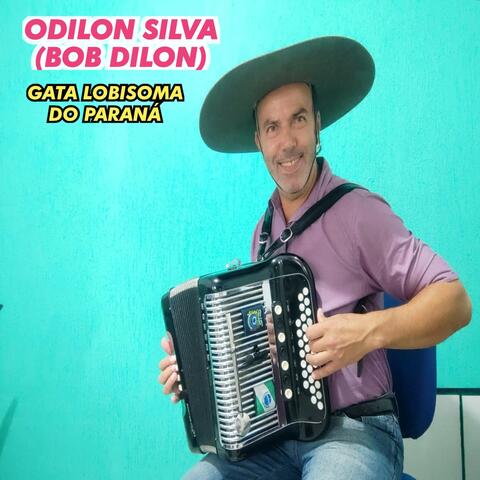 Gata Lobisoma do Paraná
