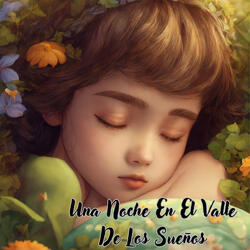 Una Noche en el Valle de los Sueños