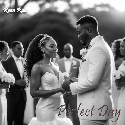 Perfect Day
