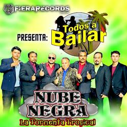 Estilo Salvaje