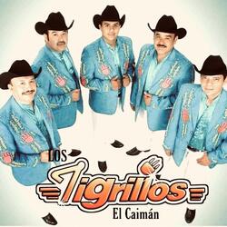 El Caimán