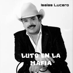El Bolas
