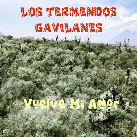Vuelve Mi Amor