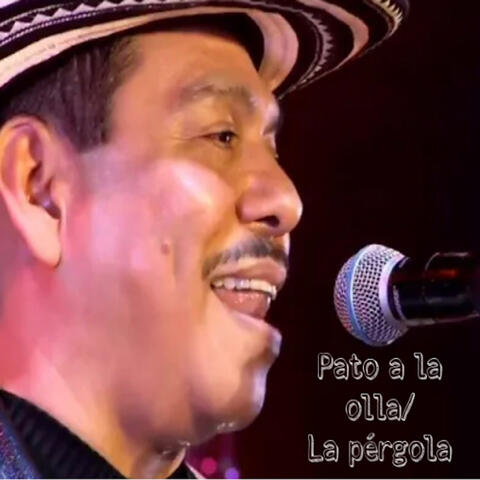 Pato a la Olla/ La Pergola
