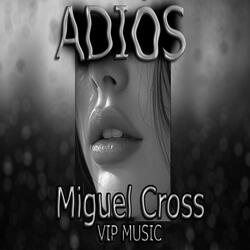 Adiós