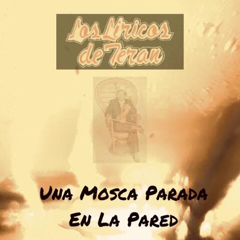 Una Mosca Parada en la Pared