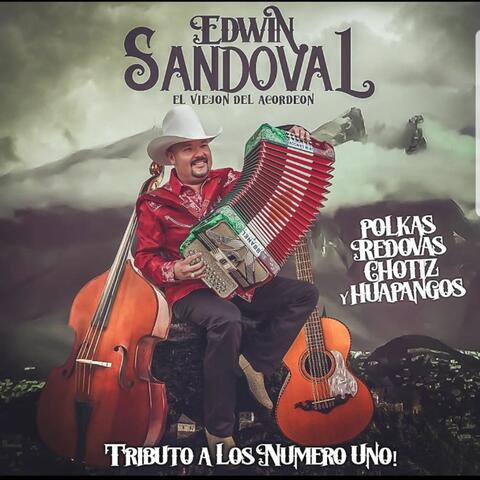 Tributo a los Numero Uno: Polkas, Redovas, Chotiz y Huapangos