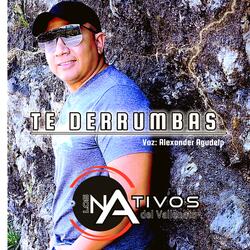 Te Derrumbas