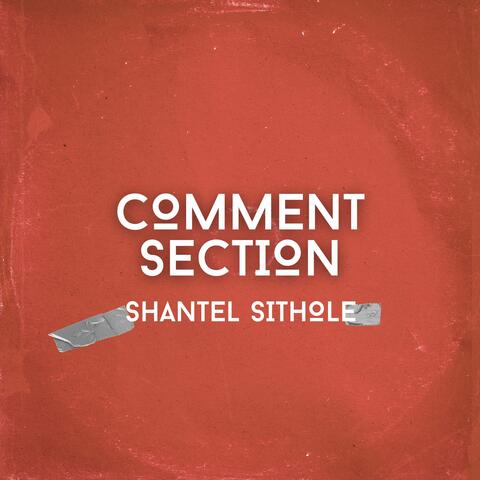 Comment Section