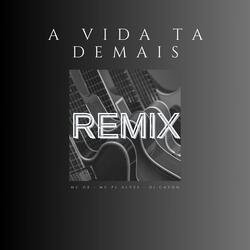 A Vida Ta Demais Remix