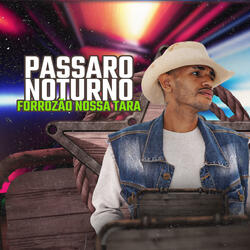 Passaro Noturno