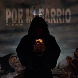 Por Mi Barrio