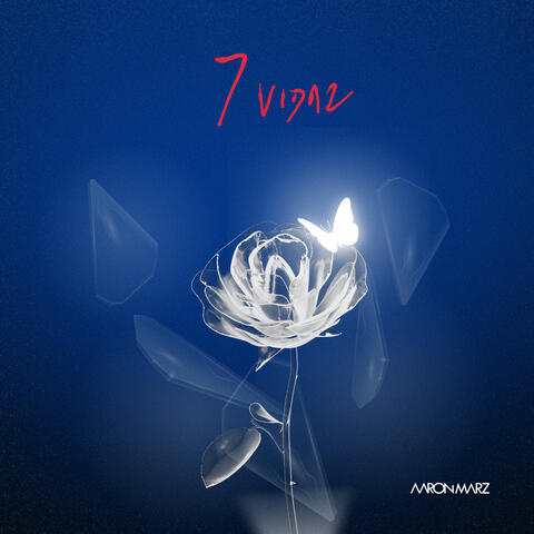 7 Vidaz