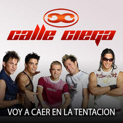 Voy a Caer en la Tentacion