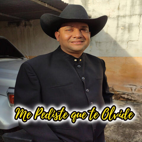 Me Pediste Que Te Olvide