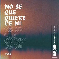 No Se Que Quiere de Mi