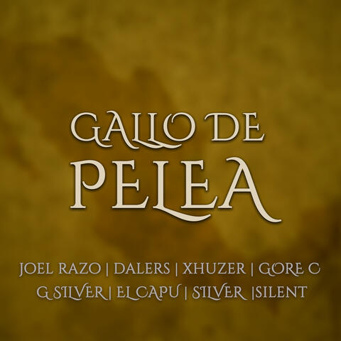 Gallo de Pelea