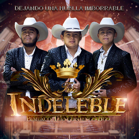 Soy Tú Fan