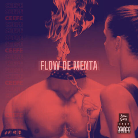 Flow de Menta