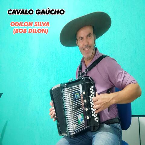Cavalo Gaúcho
