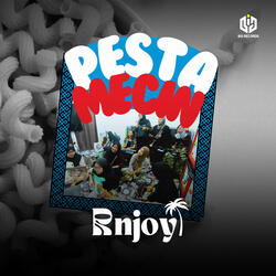 Pesta Mecin
