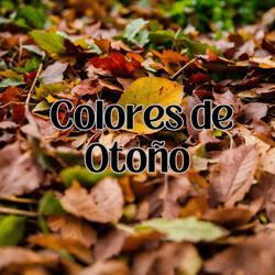 Colores de Otoño